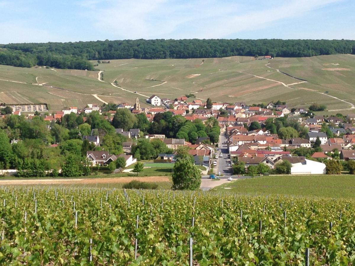 Gite Du Clos Pommier Chavot-Courcourt المظهر الخارجي الصورة